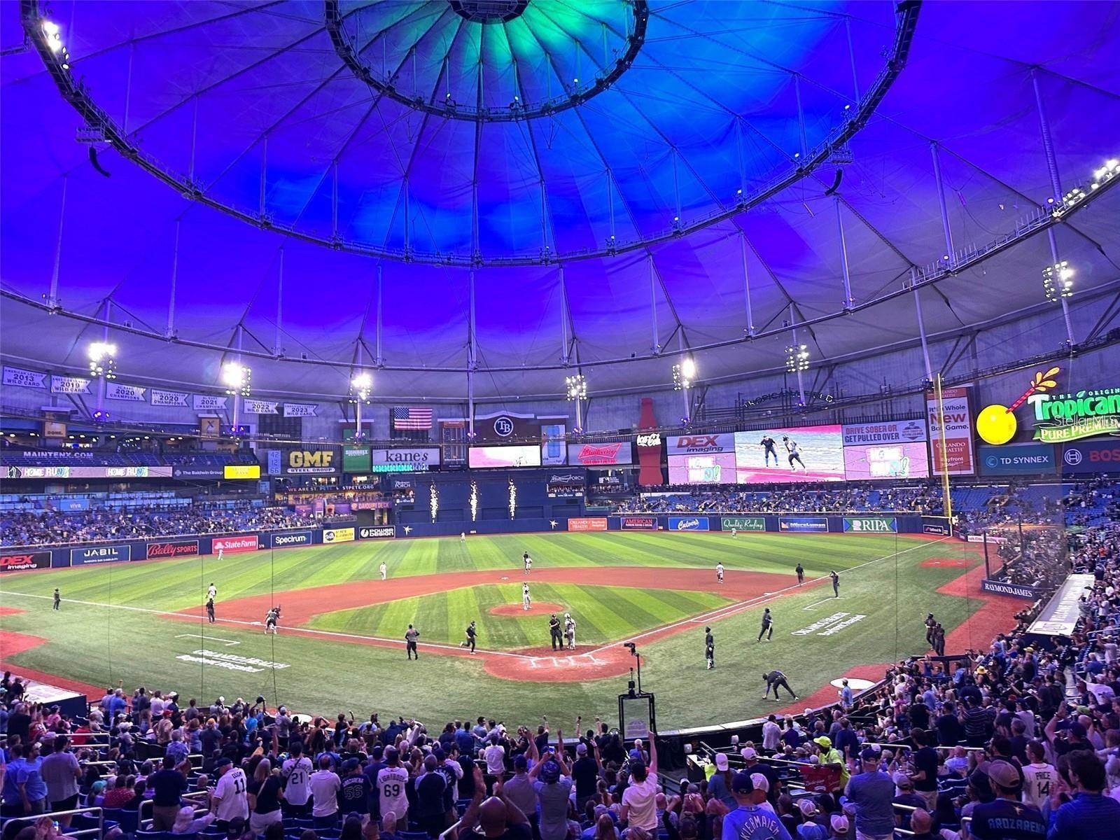 Tropicana Field - Rays