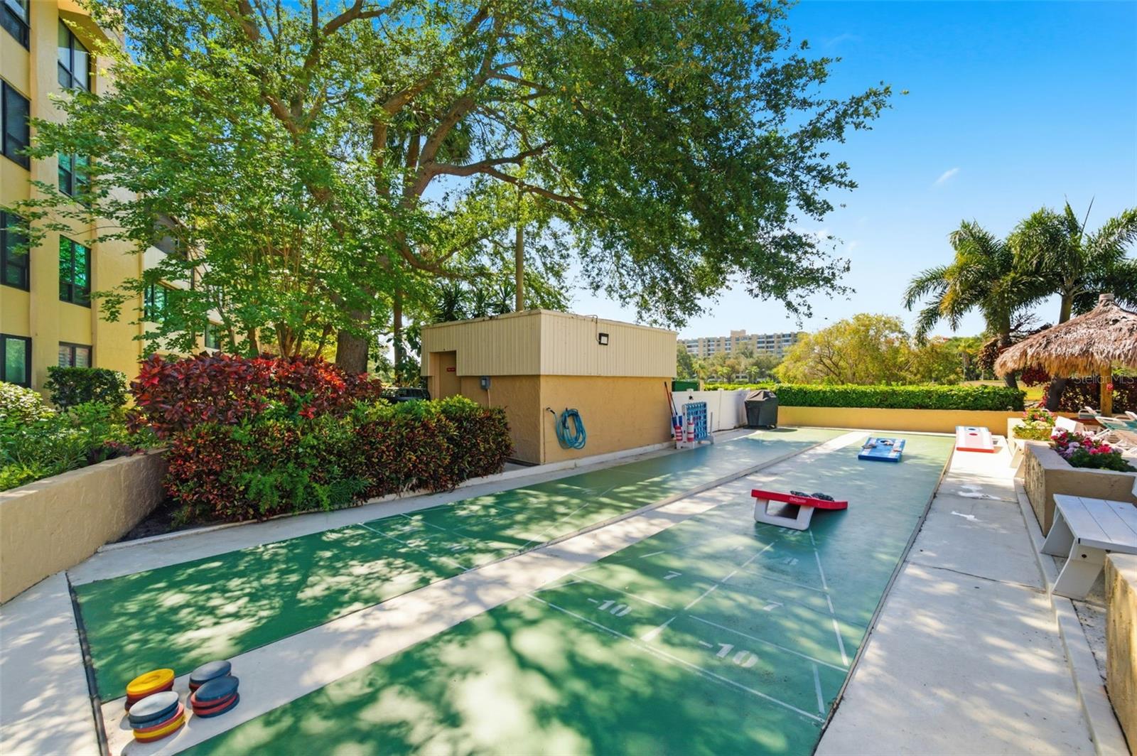 Shuffle Board Courts
