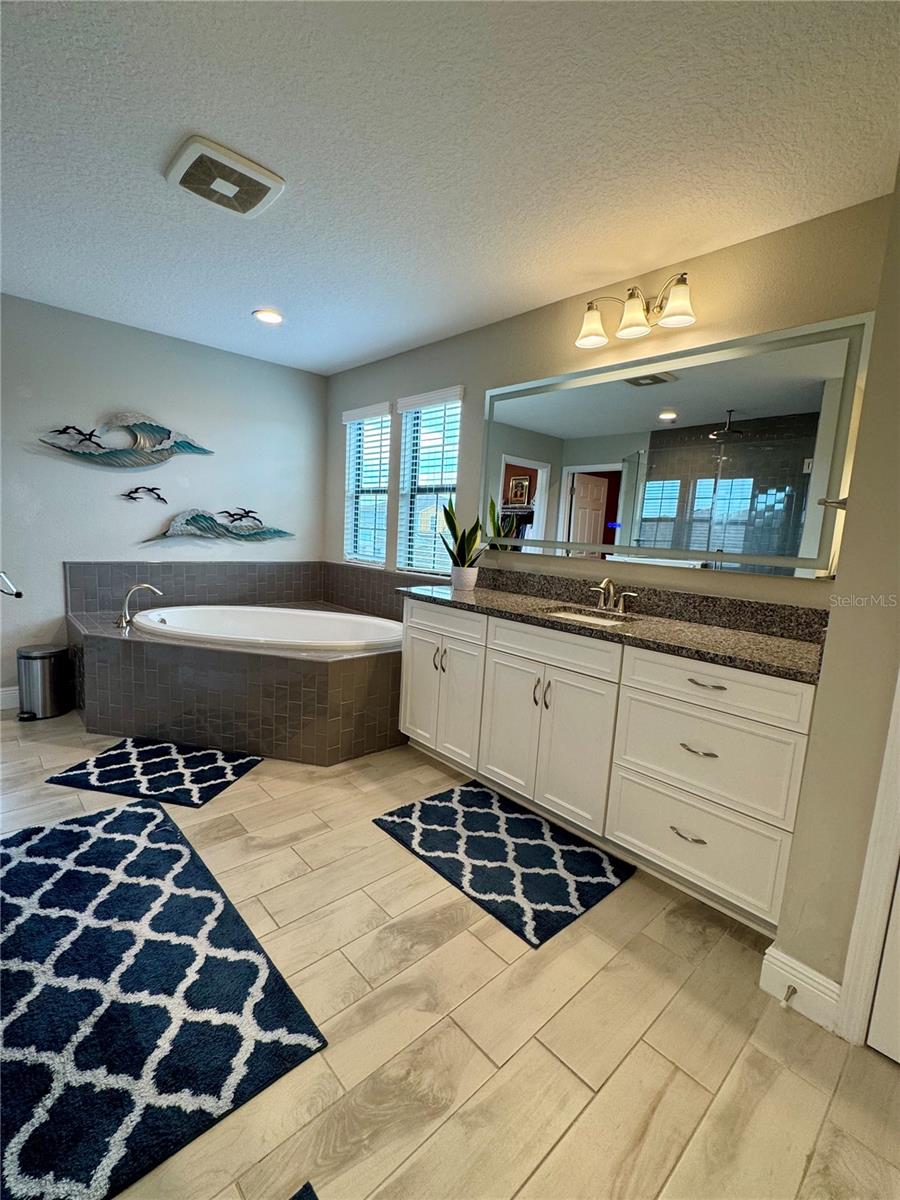 Master Bathroom Suite
