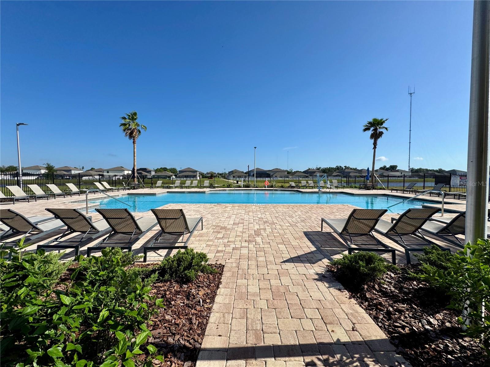 Tripoli Pool