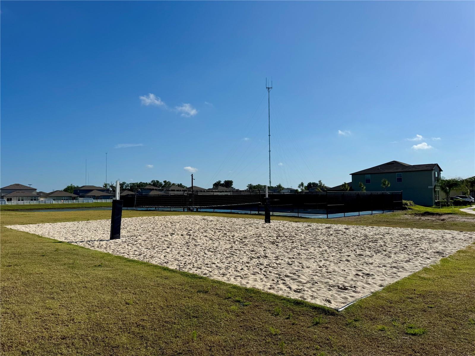 Tripoli Volleyball