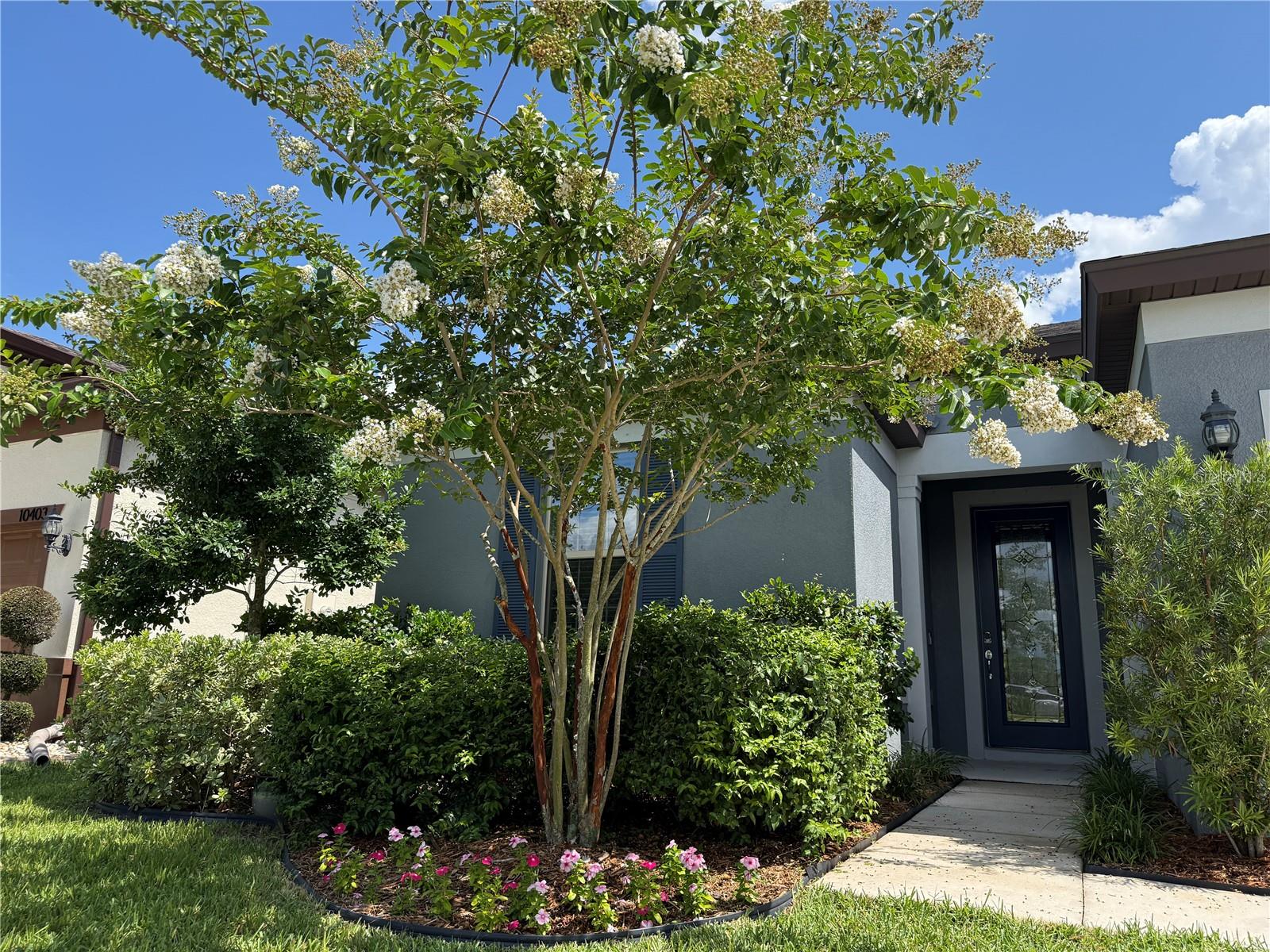 Beautifully landscaped entry.