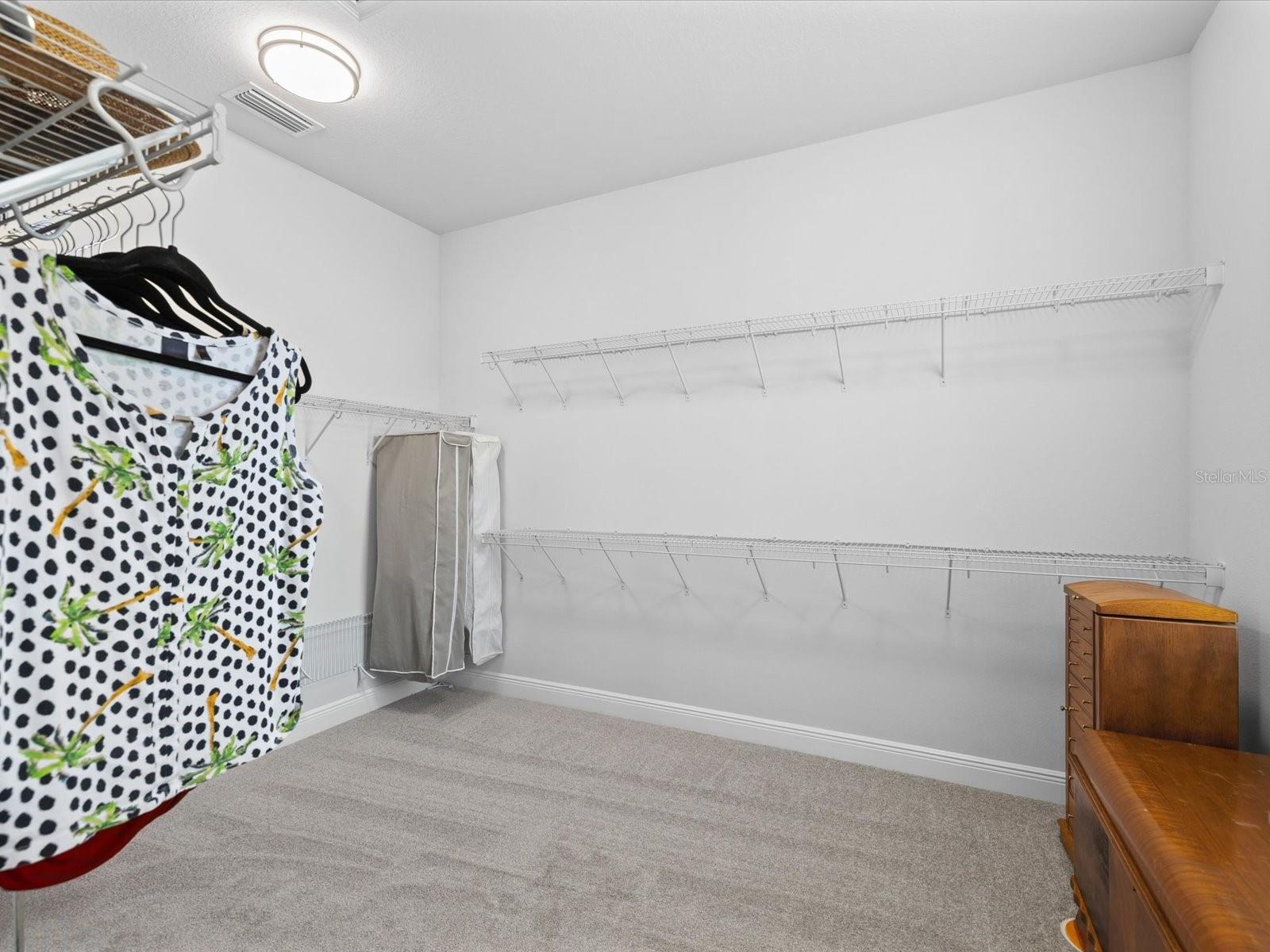 The primary suite features a spacious walk-in closet that functions as a room unto itself