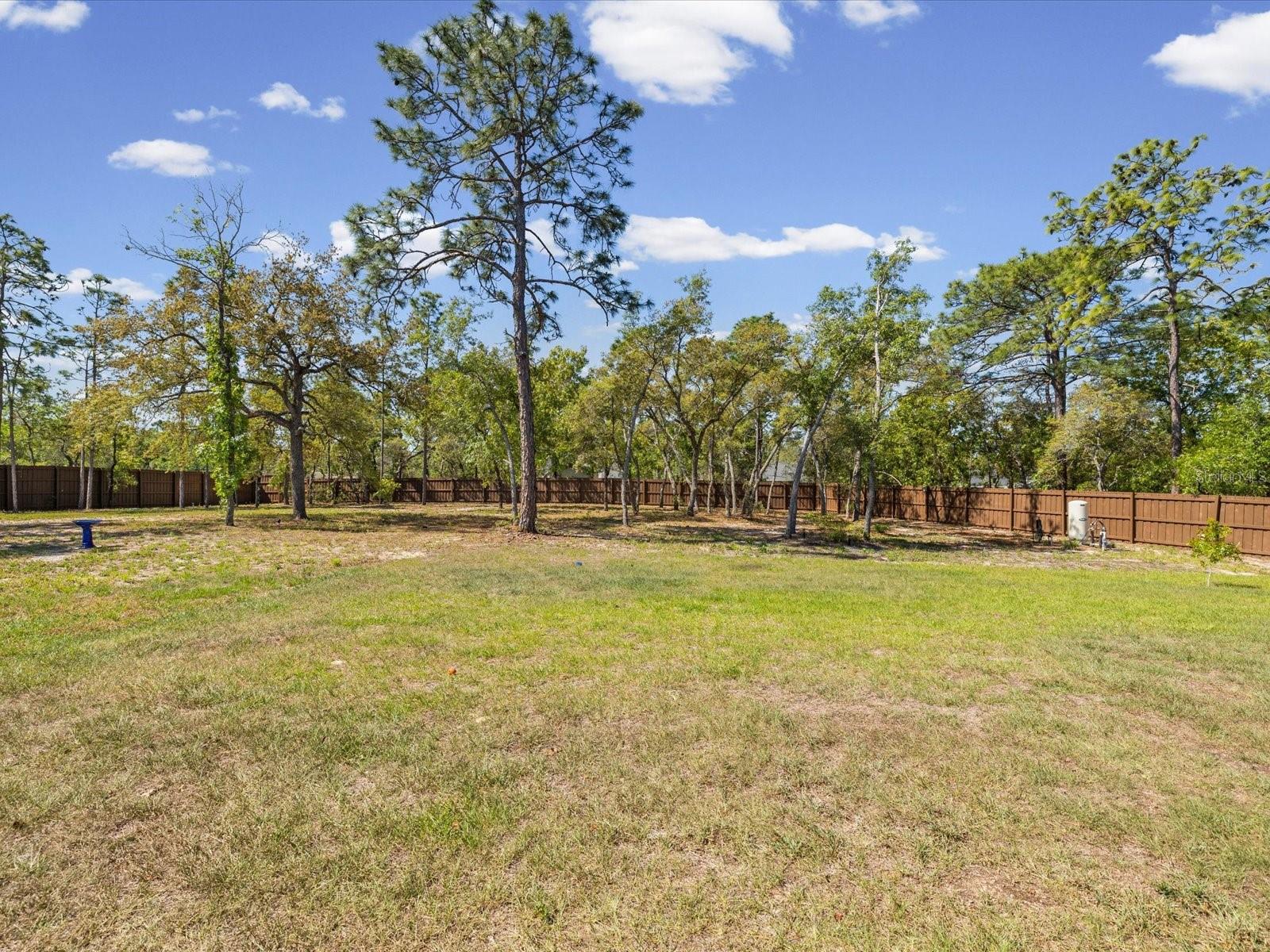 An extra-tall fenced backyard with multiple gates, offering exceptional privacy and versatility