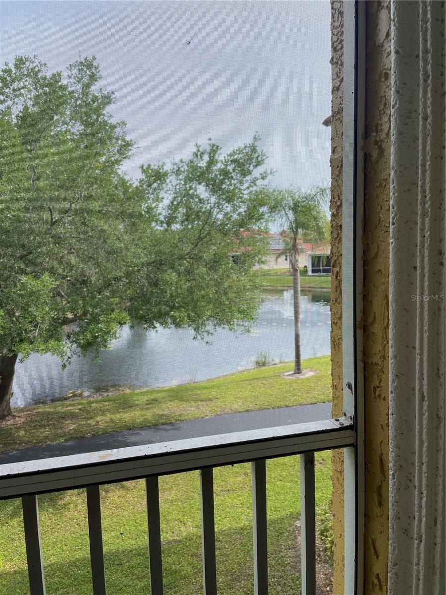 View from Porch