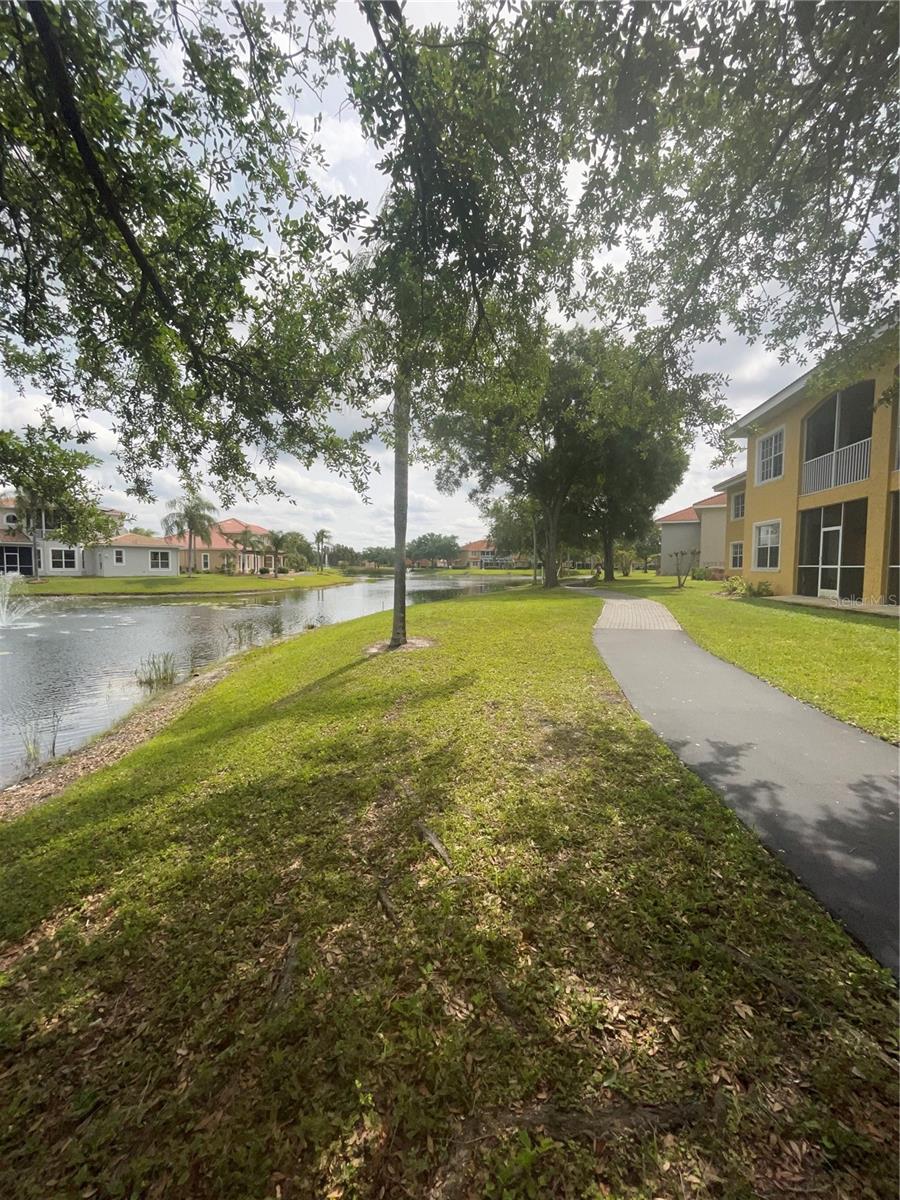 Pond View