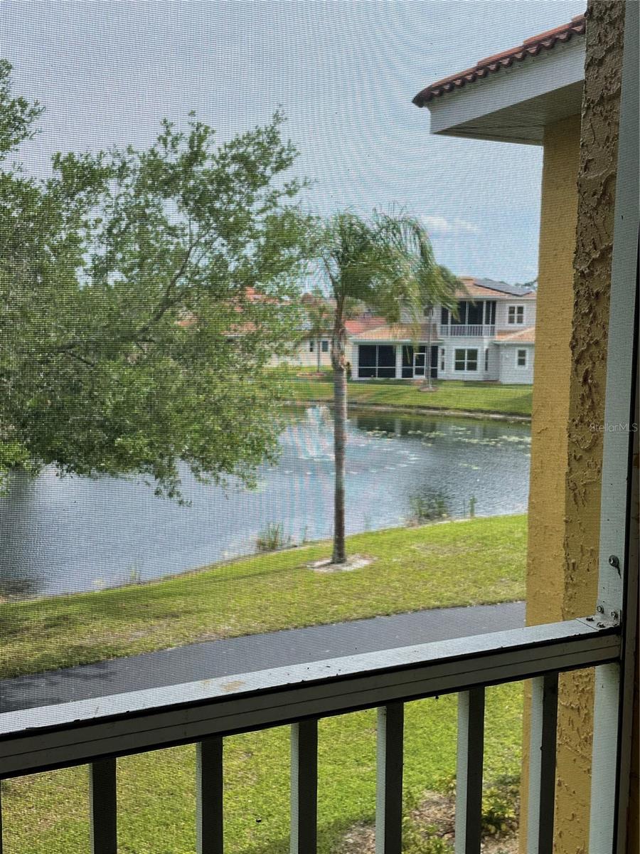 View from porch
