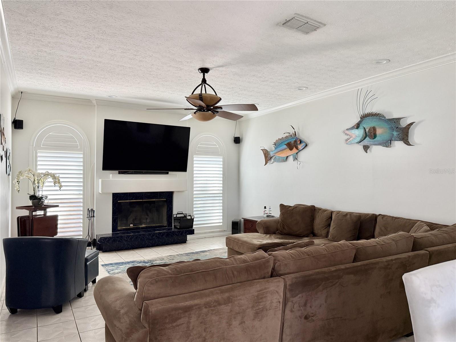 Family Room - Spacious and Plenty of Natural Lighting