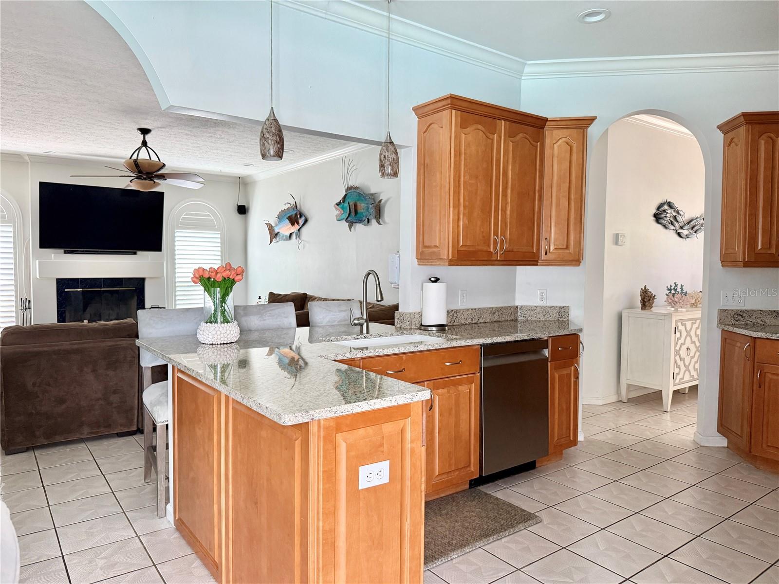 Kitchen - Ampler Cabinet and Counterspace