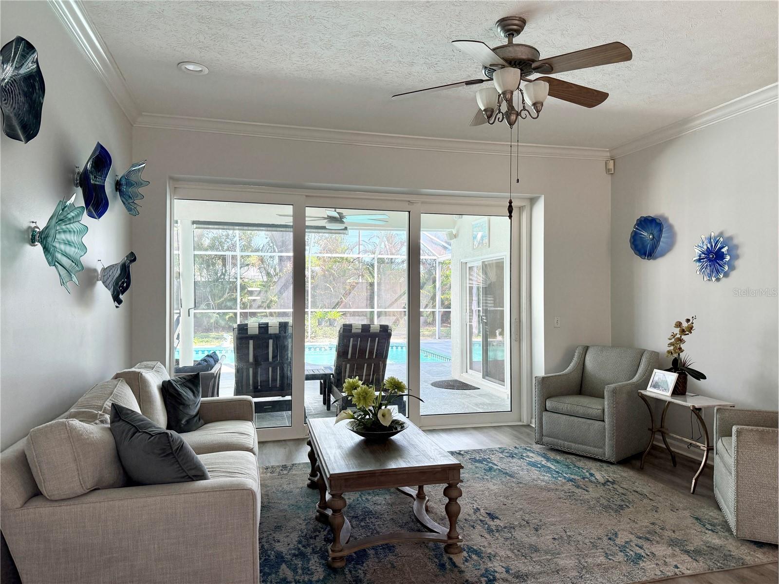 Formal Living Space - Light and Bright