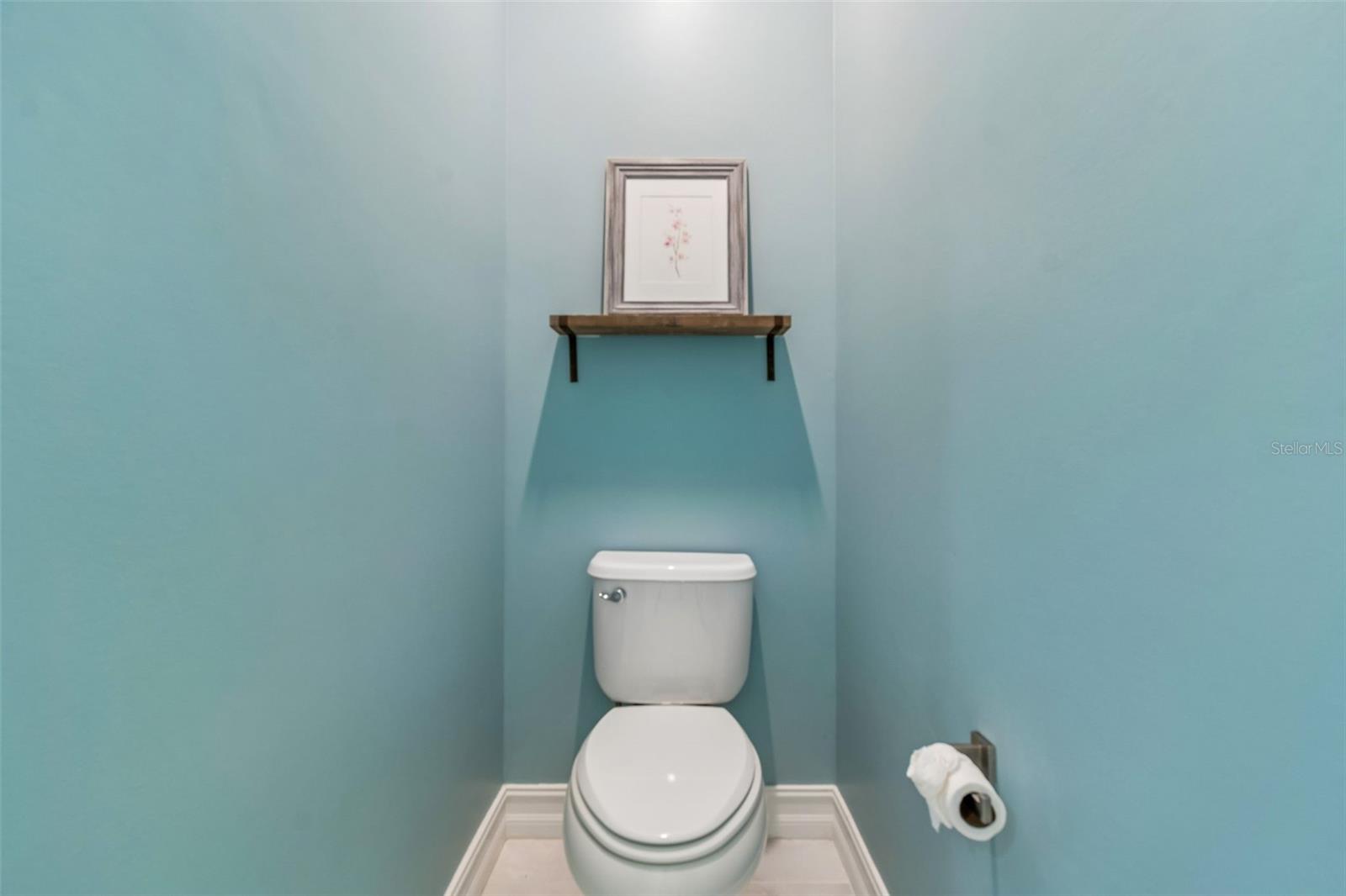 Primary bathroom toilet closet