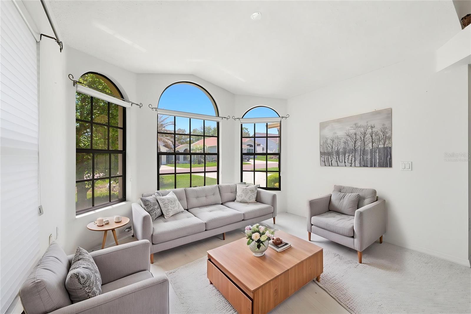 Family Room (Virtually Staged)