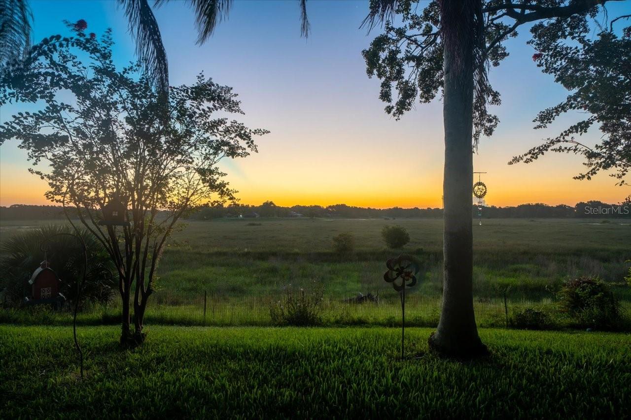 Sunrise View