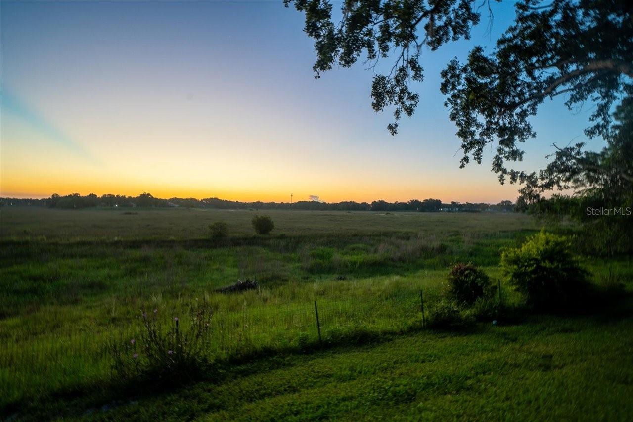Sunrise View