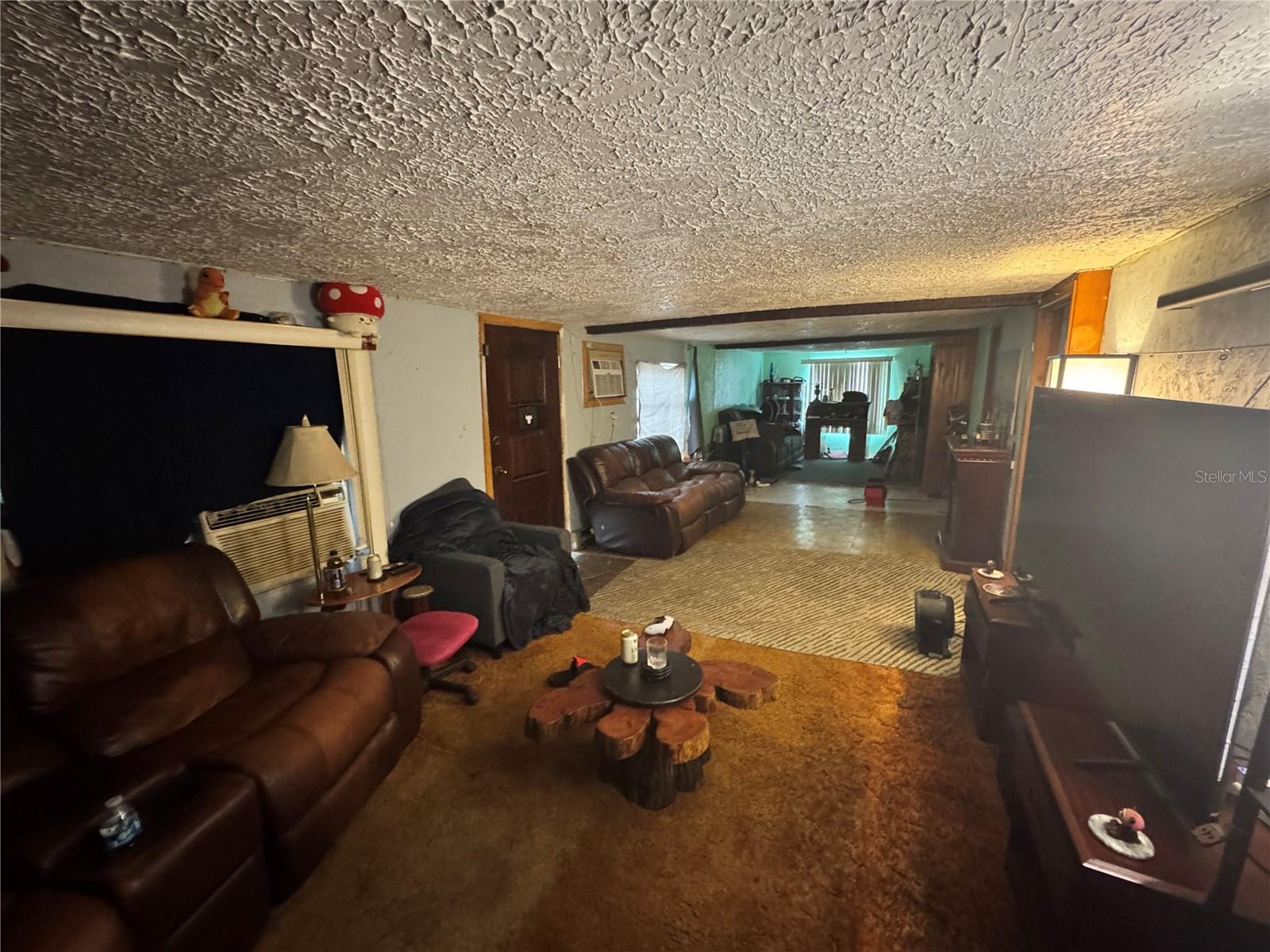 Downstairs living area