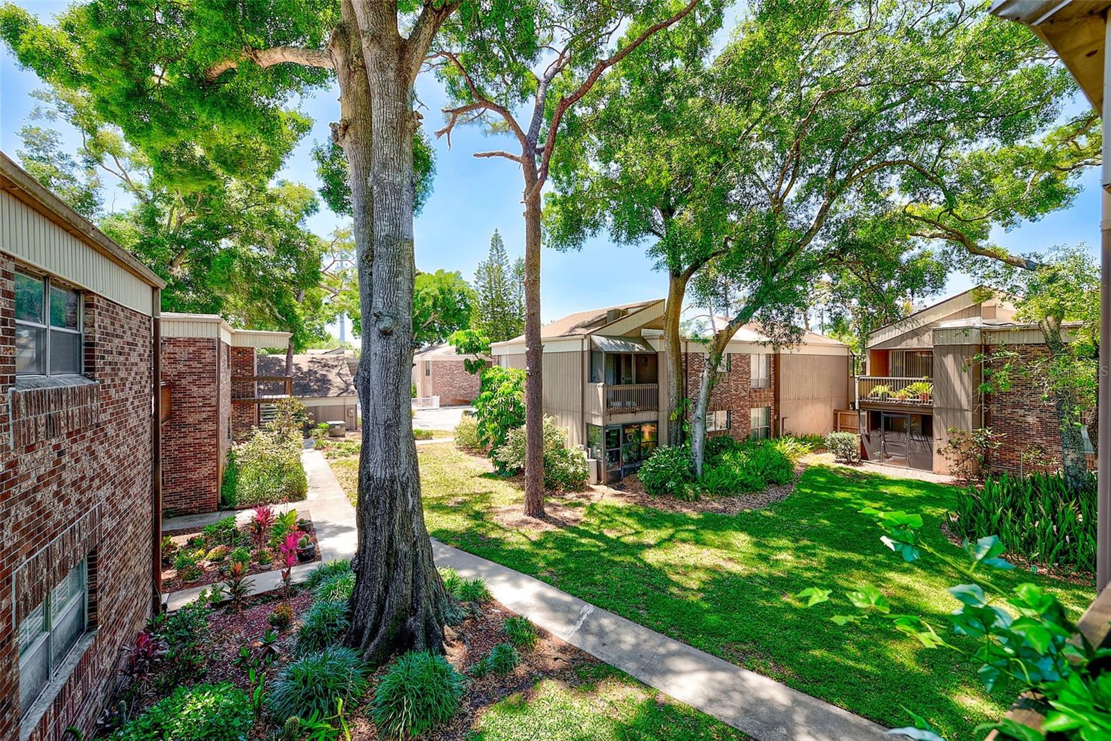 VIEW OF GROUNDS FROM PATIO