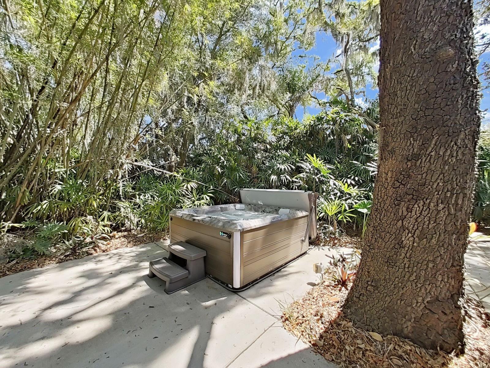 Enjoy ultimate privacy & relaxation in your backyard spa with lights and control settings!