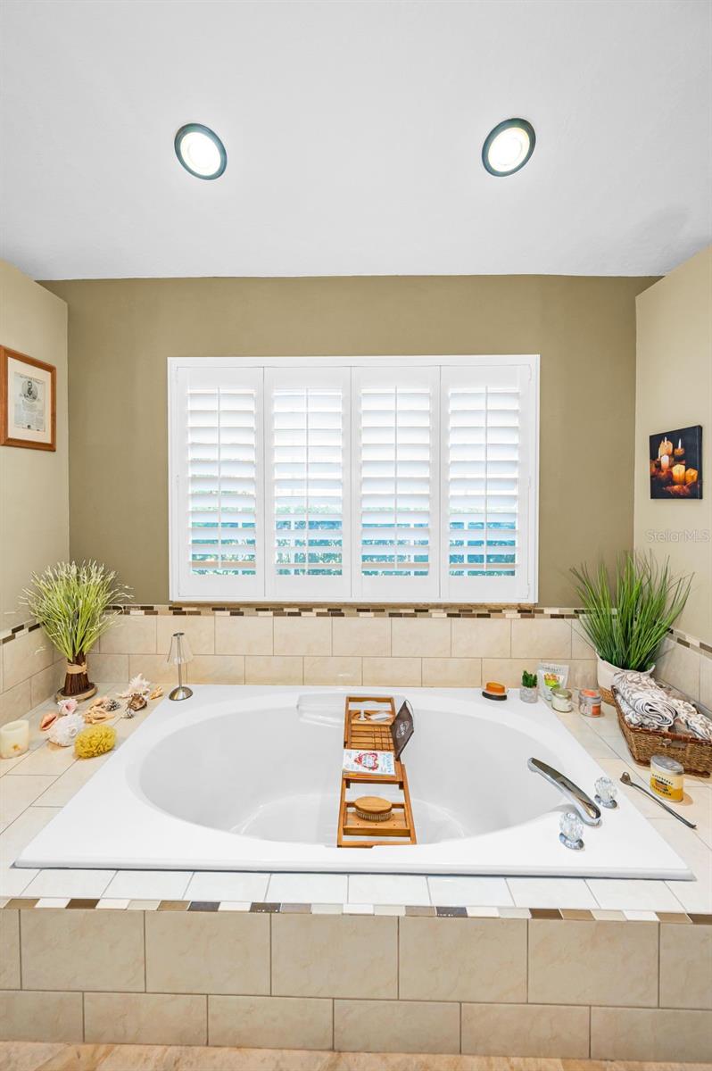 Primary Suite Bathtub