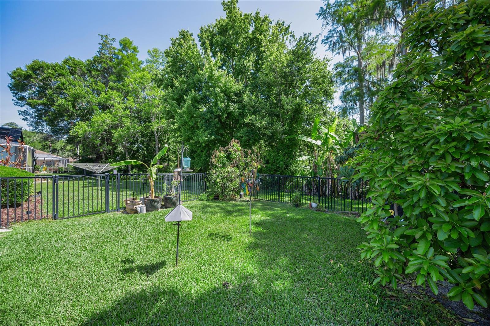 .28 acre lot, partially fenced