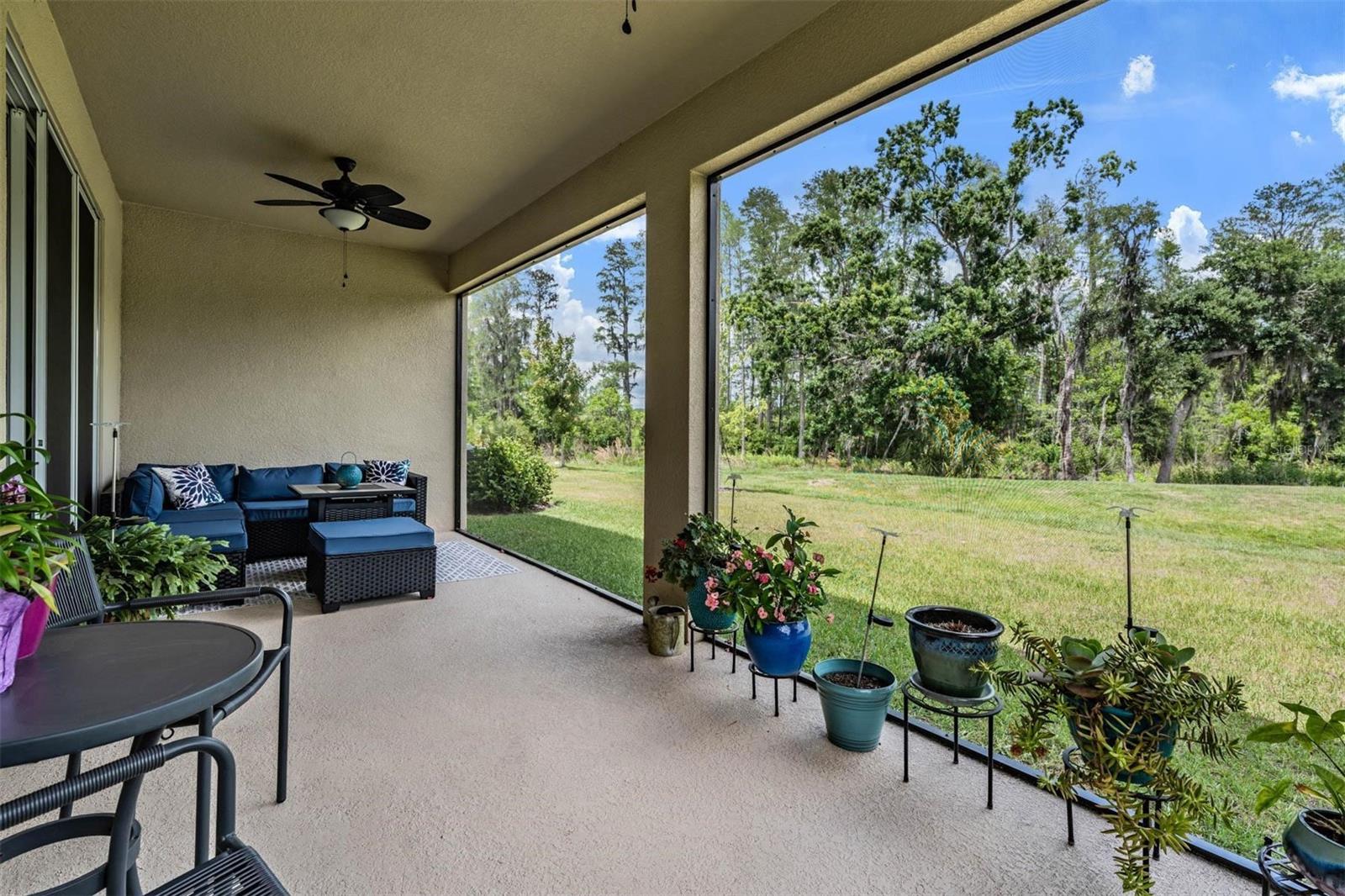 Screened lanai with view of pond