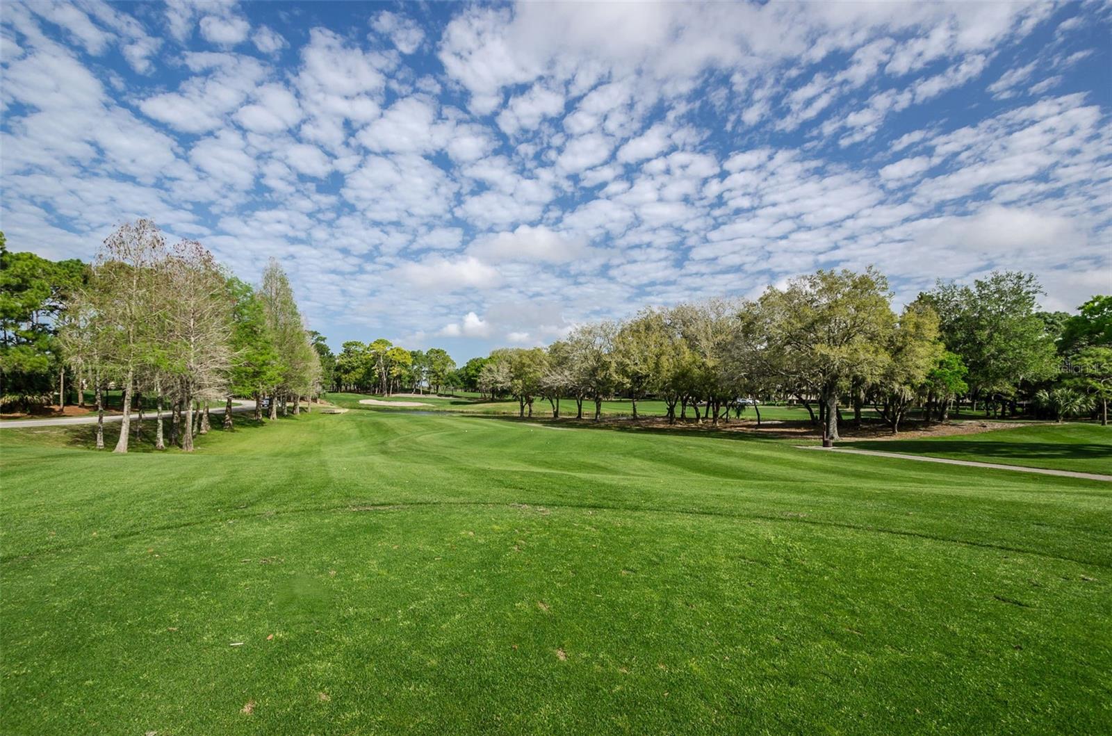 Innisbrook Golf Courses