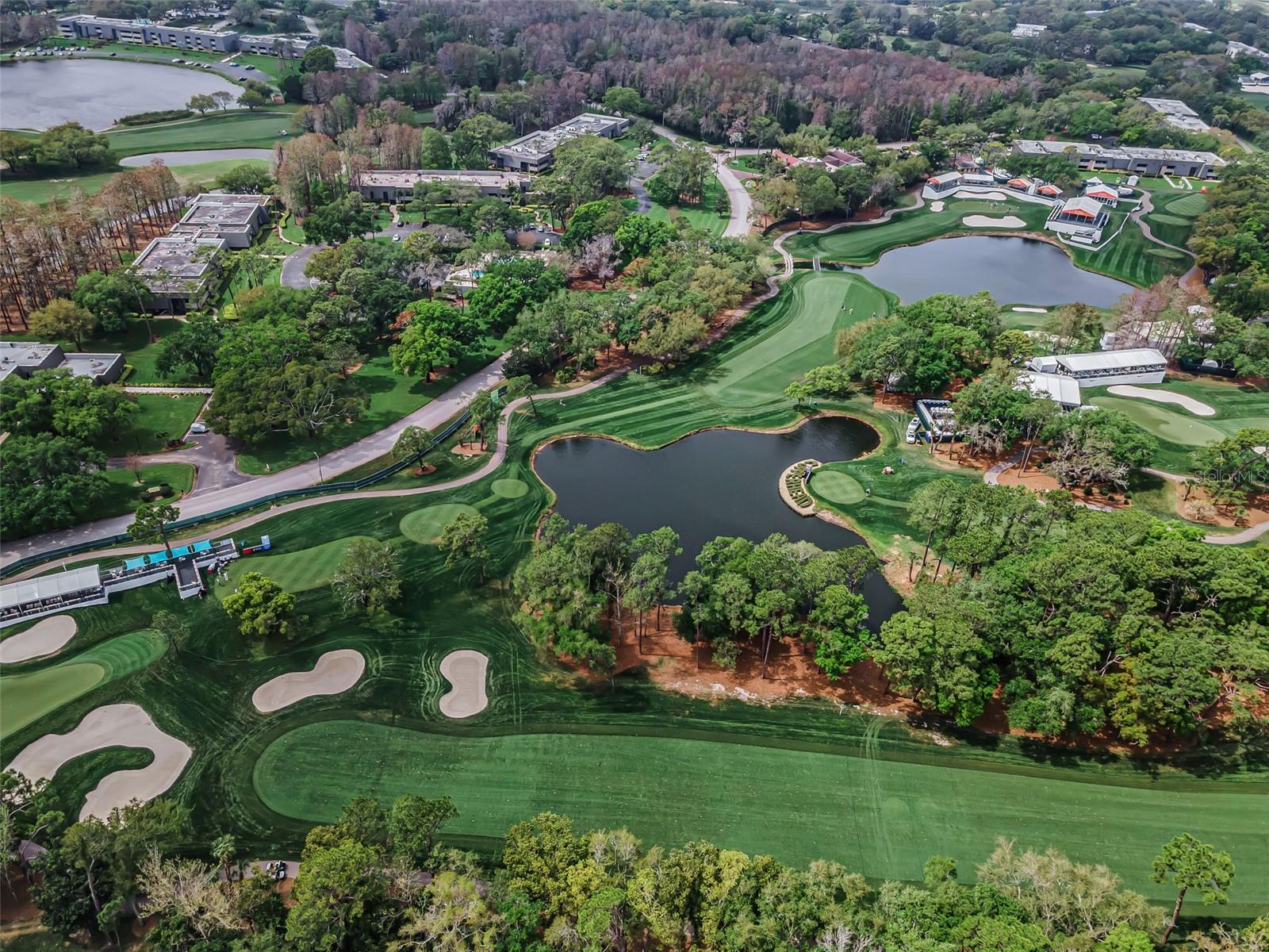 Innisbrook Golf Courses