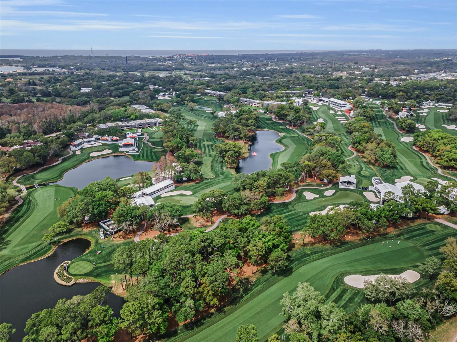 Innisbrook Golf Courses