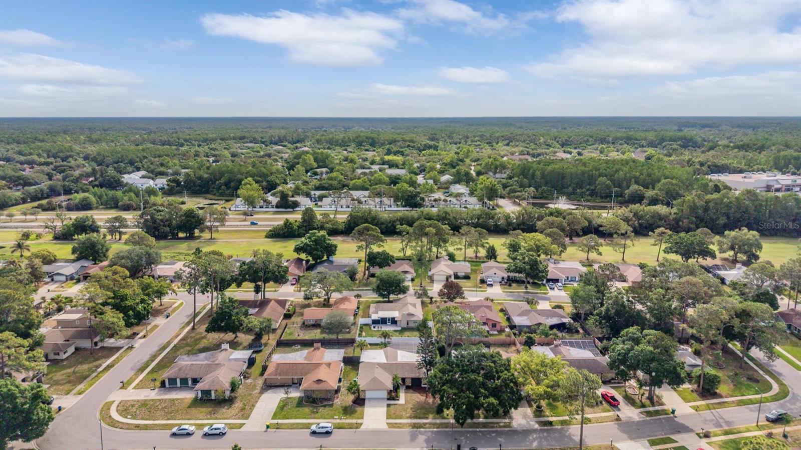 Aerial view of the neighborhood