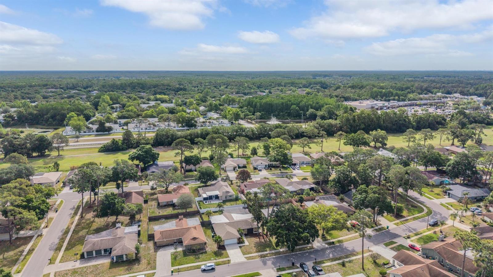 Aerial view of the neighborhood