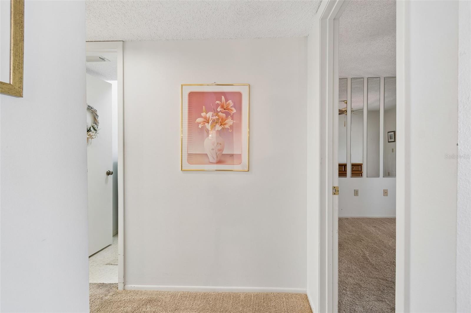 Hall to Guest Bedroom, Laundry Room & Guest Bathroom