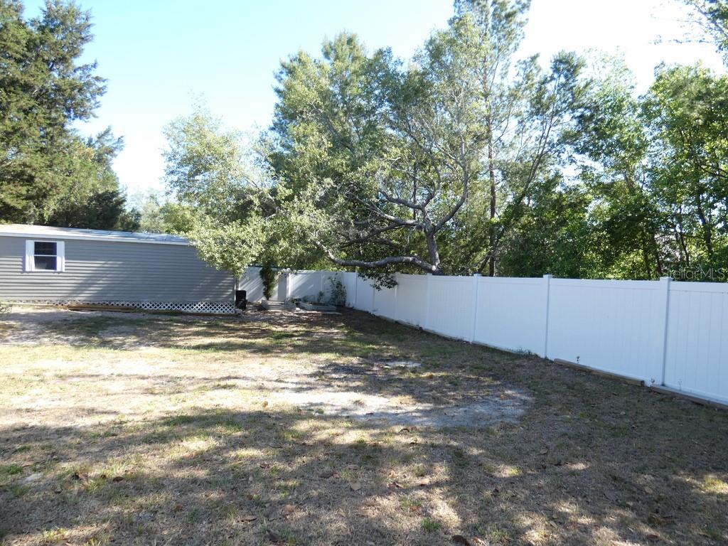 Back Yard