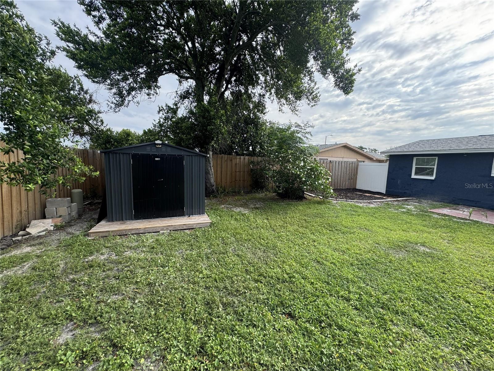 Shed in Yard