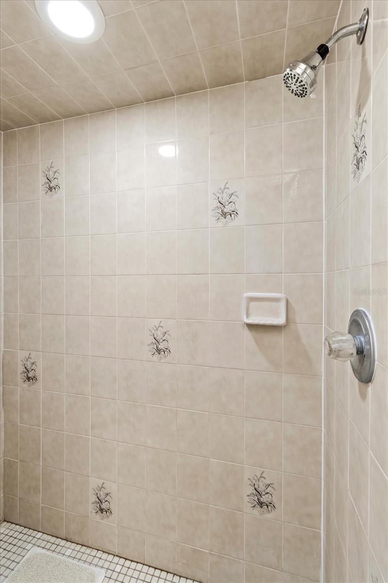 Shower in Primary bathroom