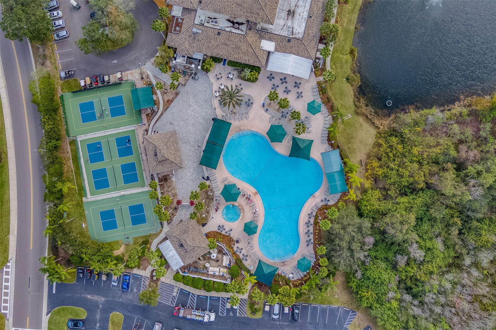 Beautiful Pool area-Resort Style
