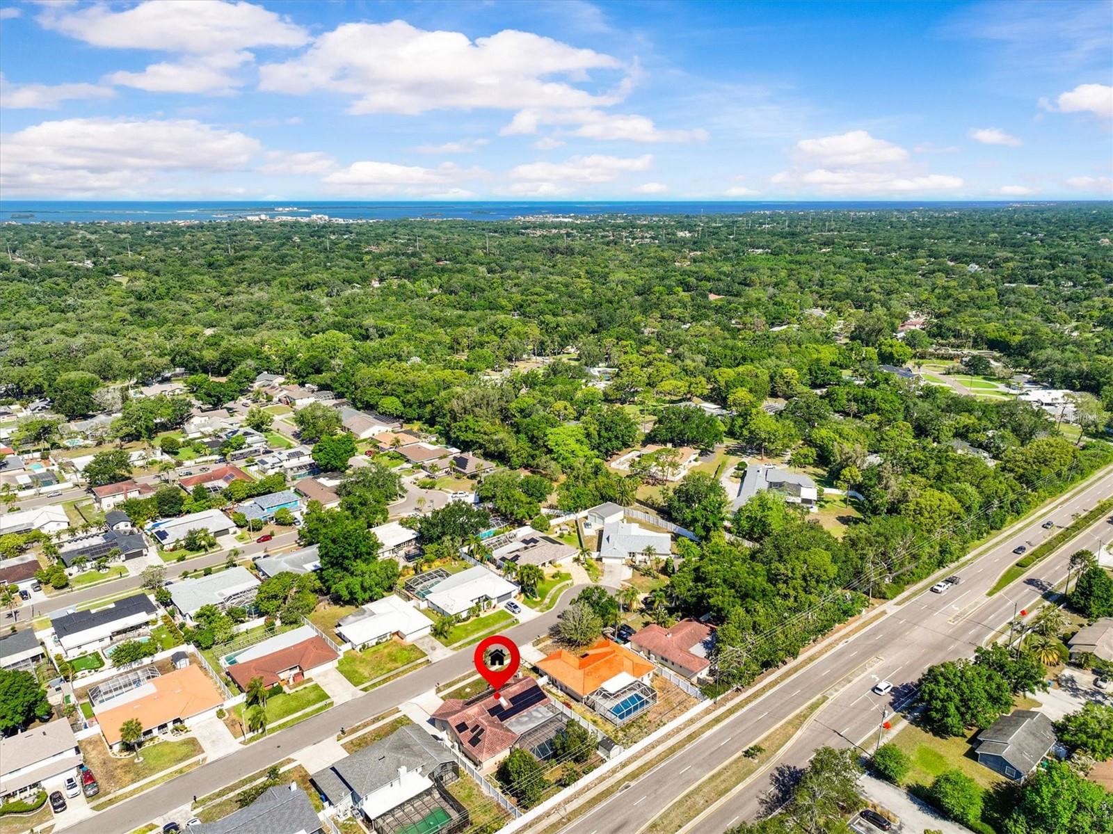 3.5 miles to the Dunedin Causeway with free parking and beach area.