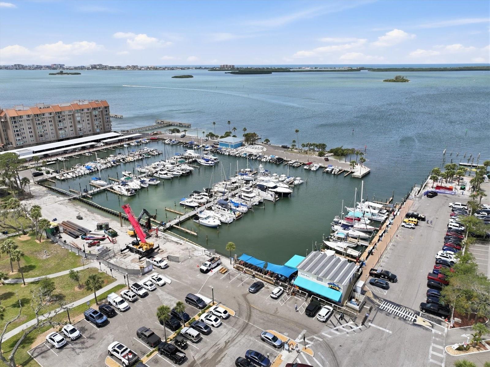 The Marina in Dunedin