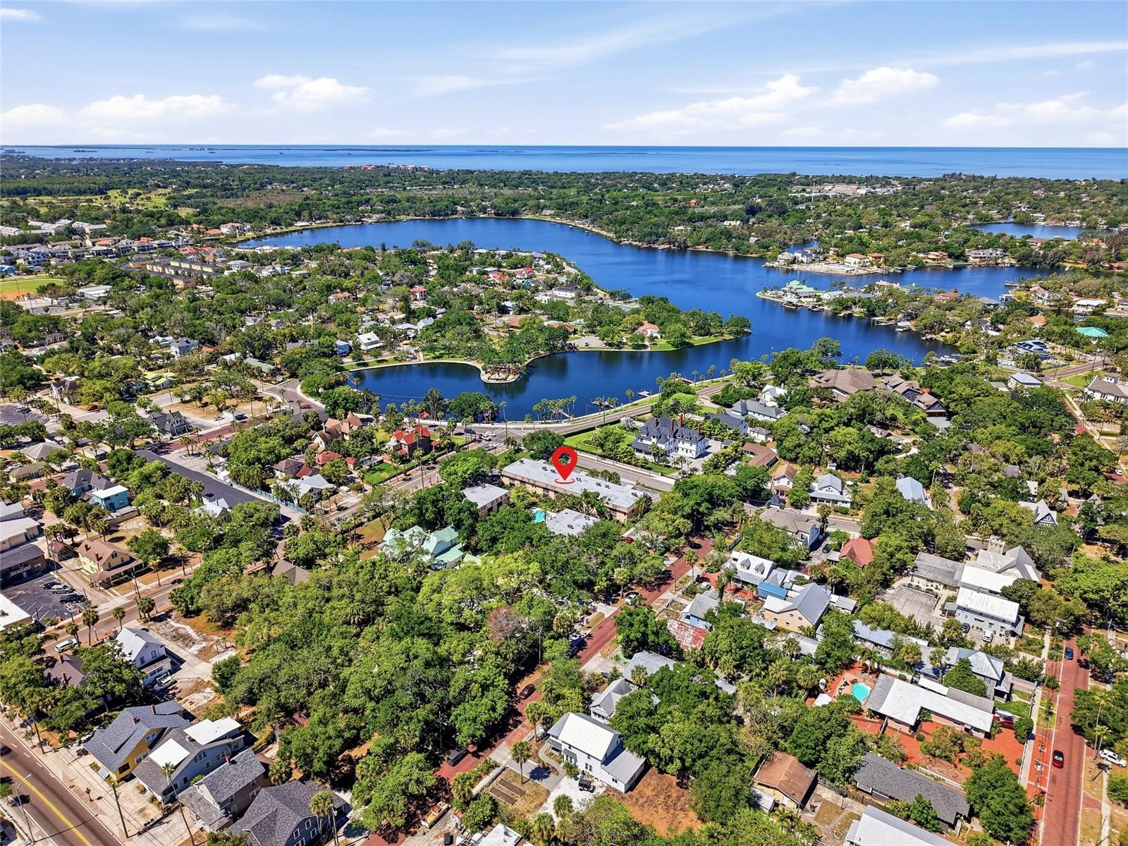 Aerial View with Bayous