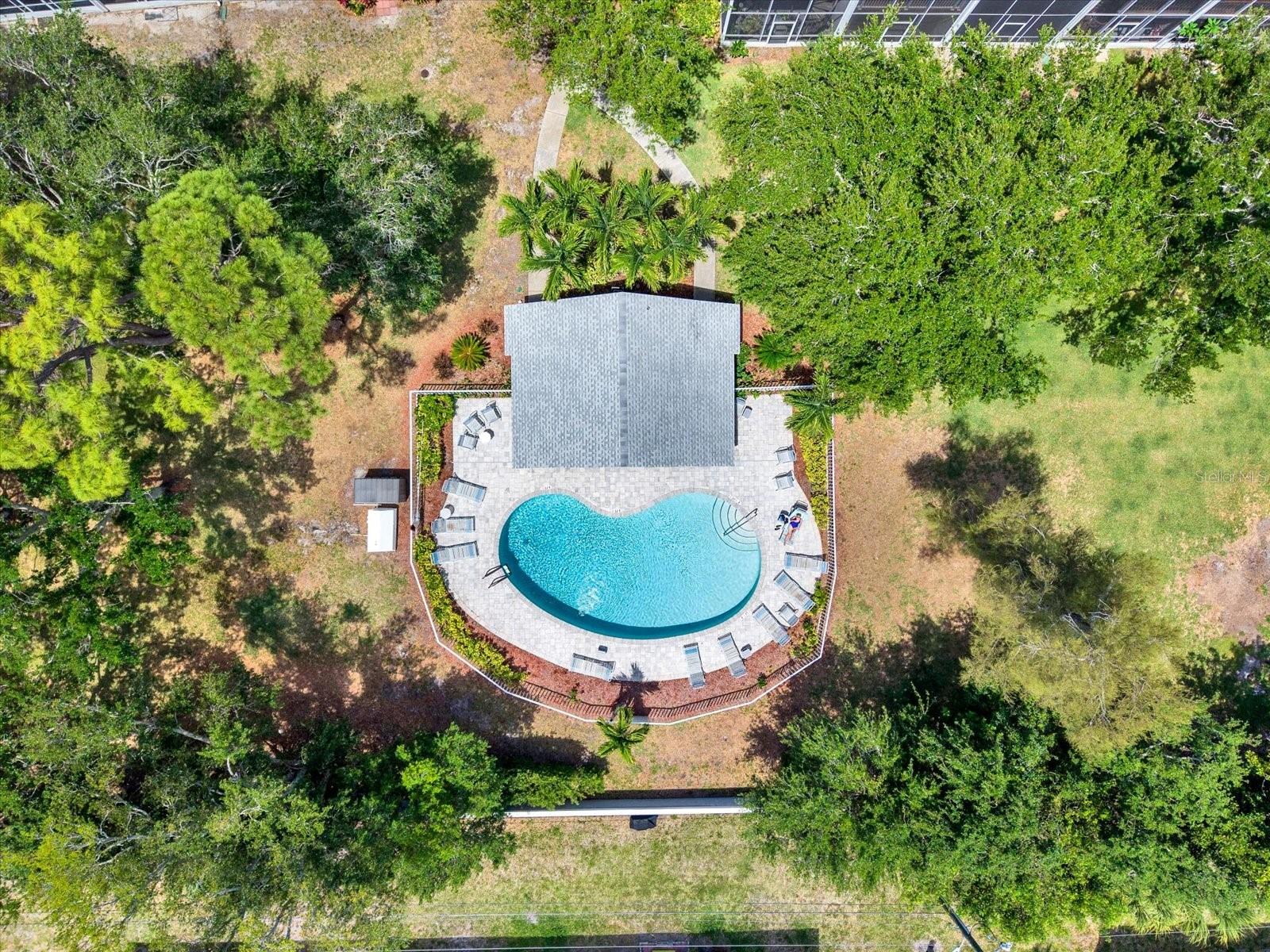 Community Swimming Pool