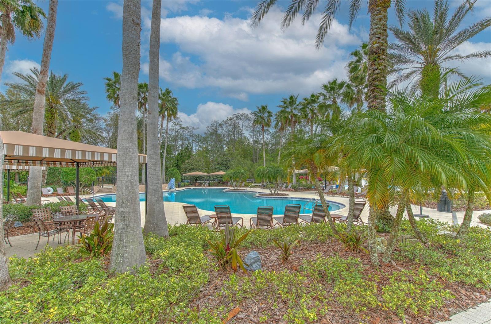 The Club at Seven Oaks