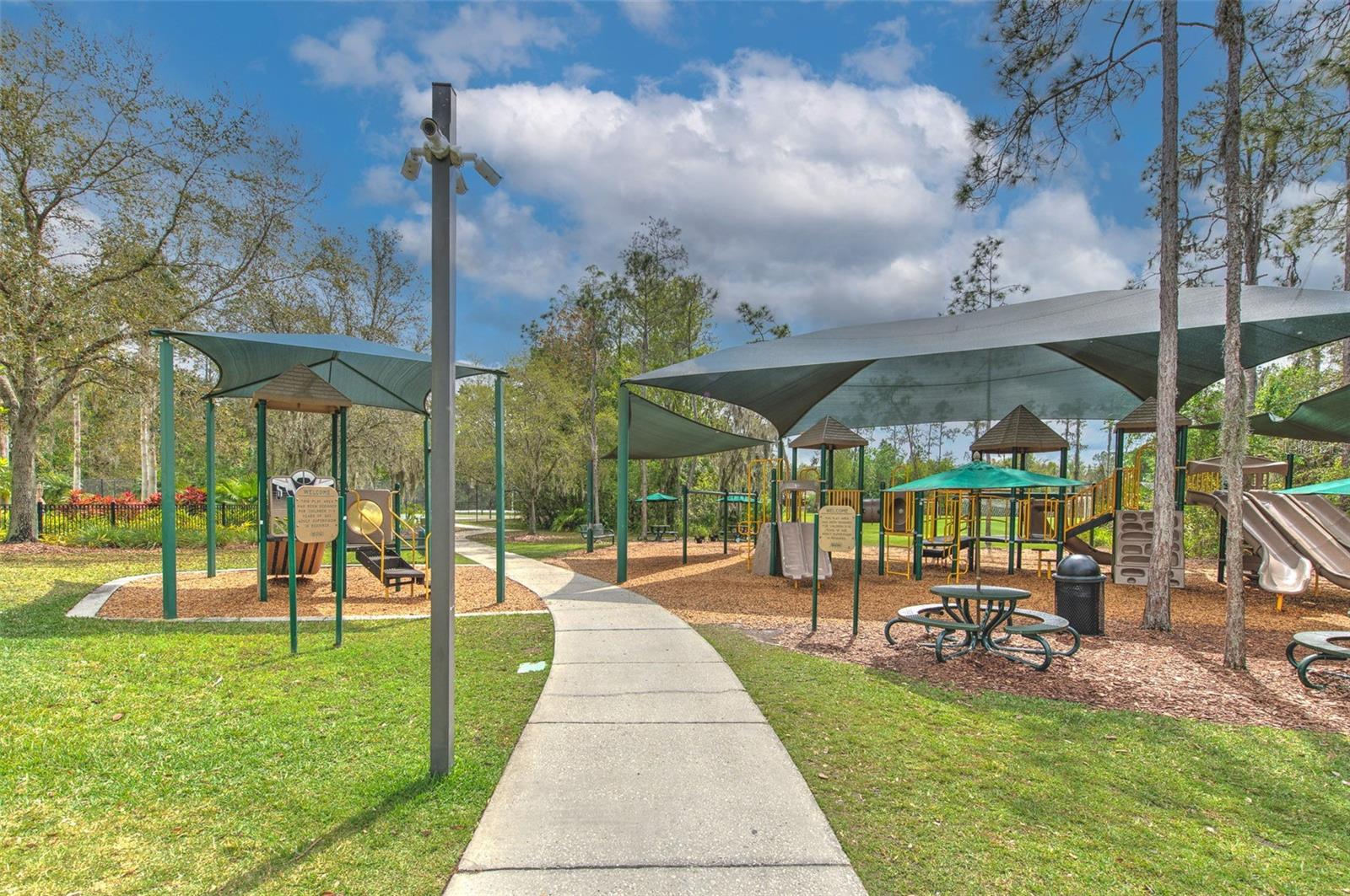 The Club at Seven Oaks