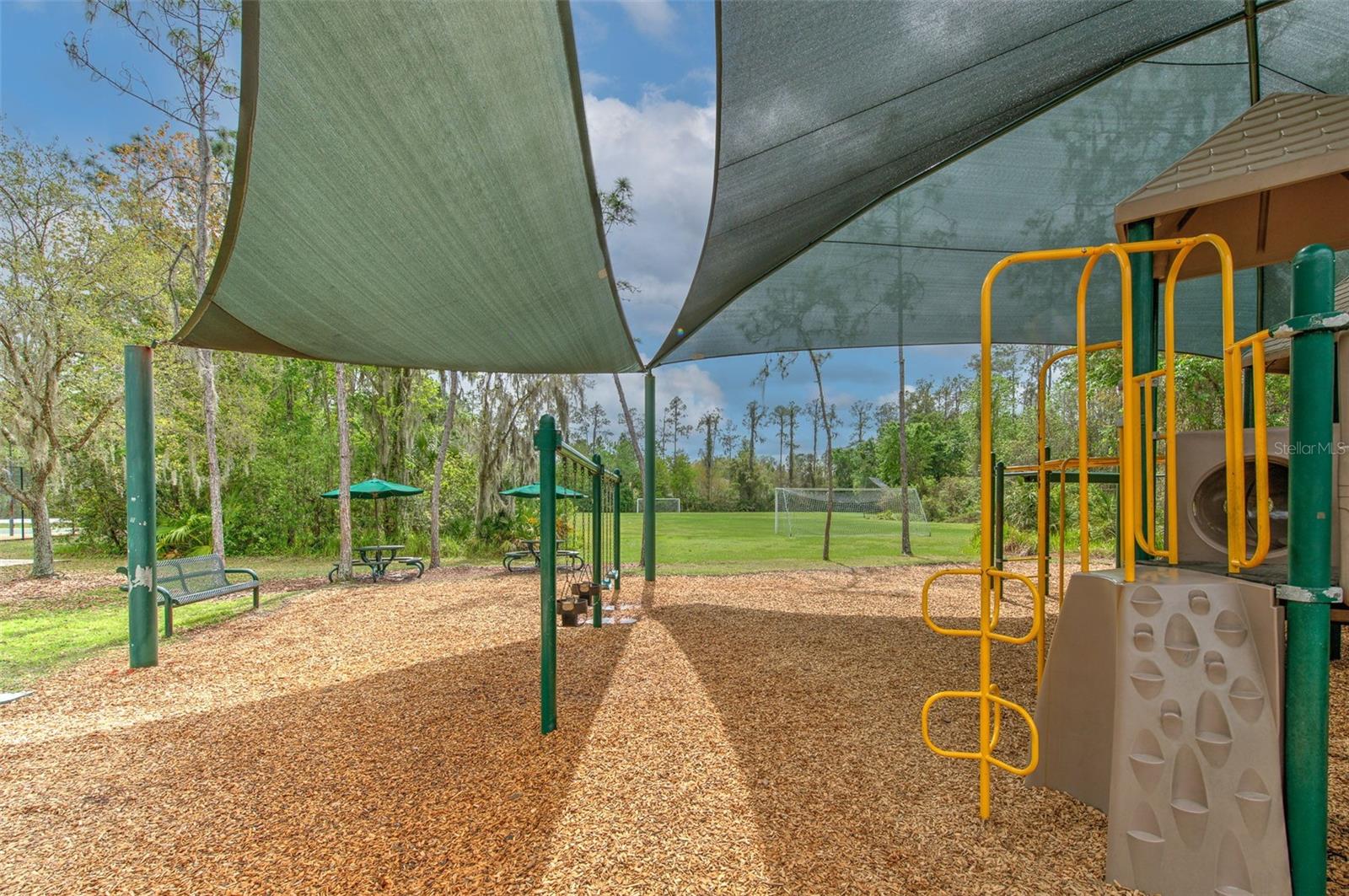 The Club at Seven Oaks