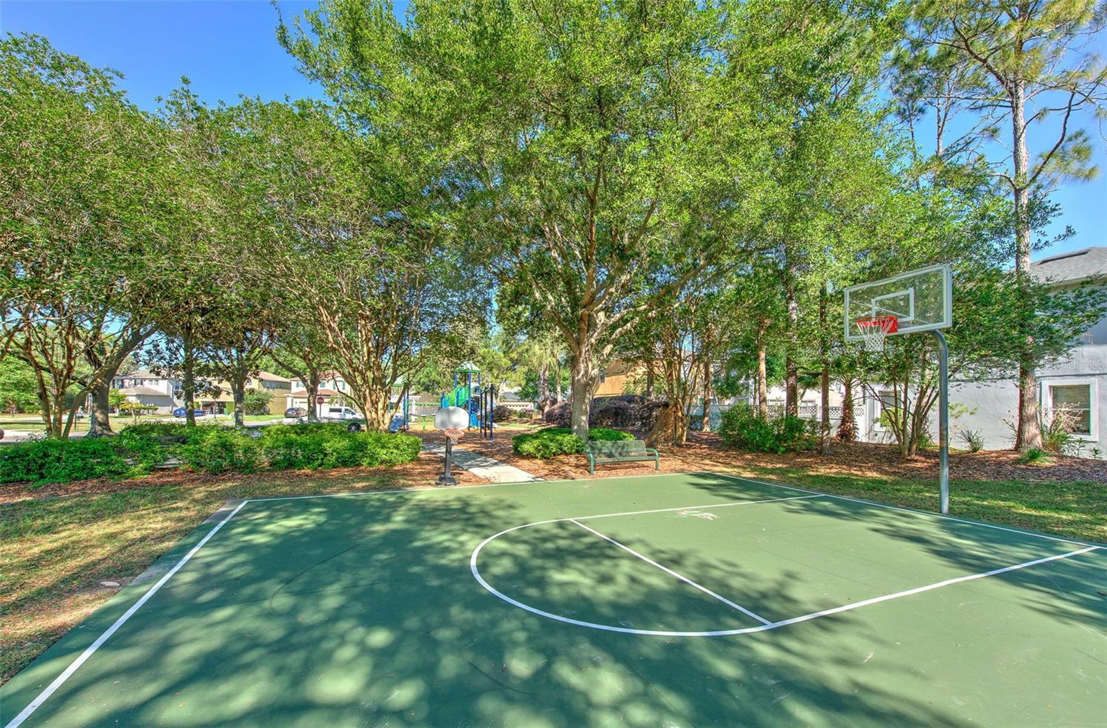 Basketball court within the subdivision