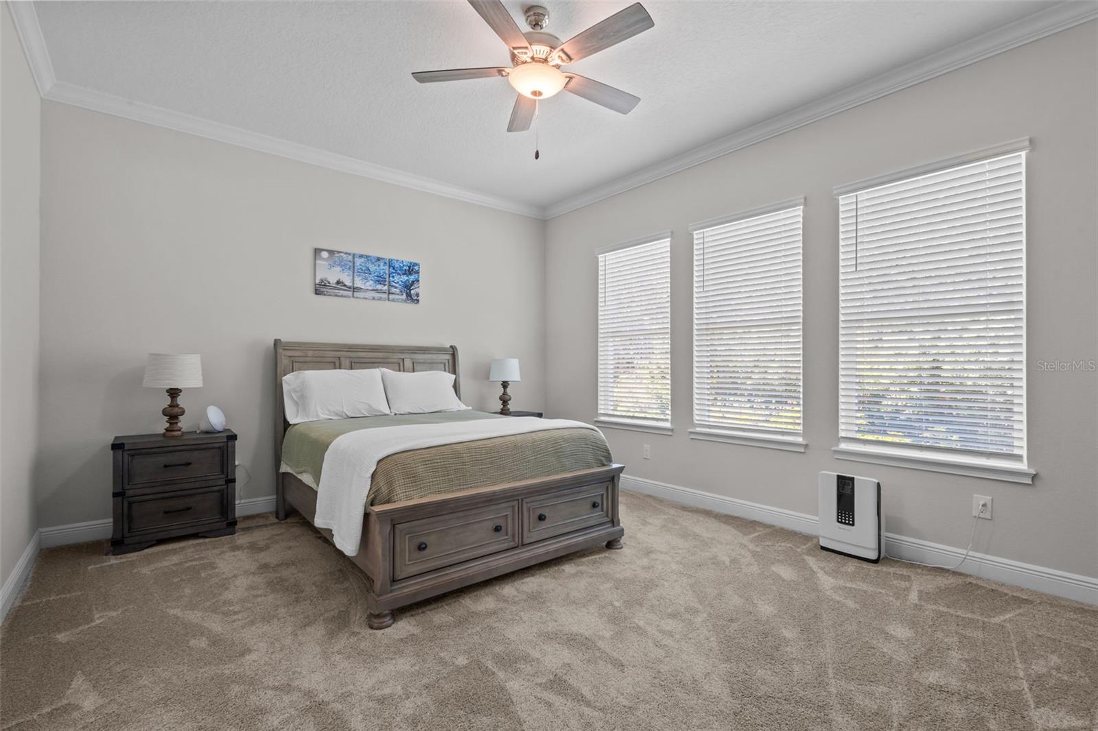 Spacious primary bedroom with high ceilings and peaceful wooded views.