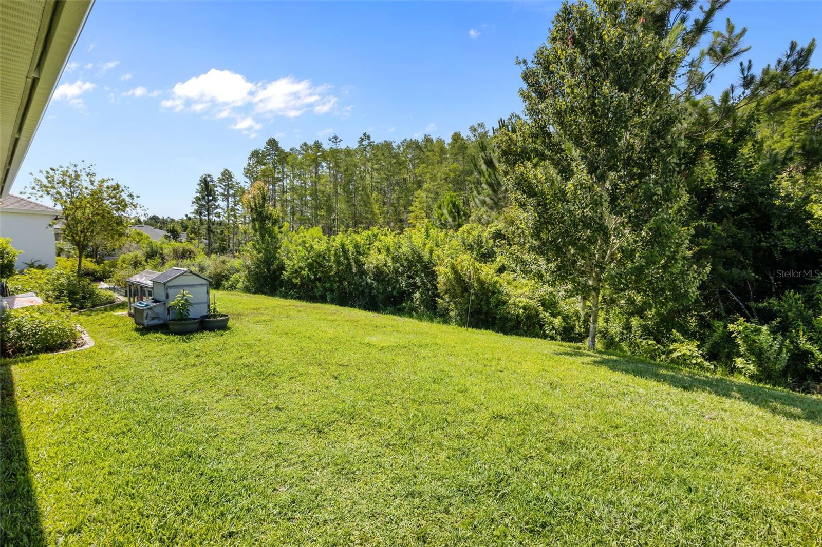 Private wooded backdrop with no rear neighbors.