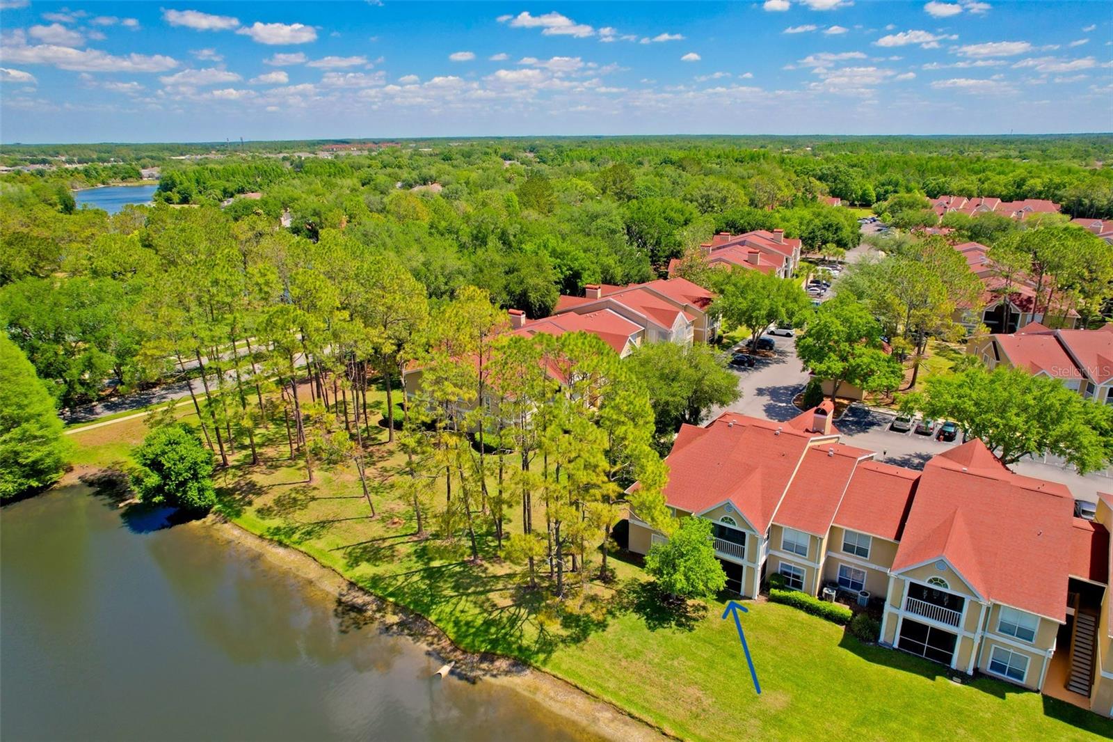 rear aerial on water