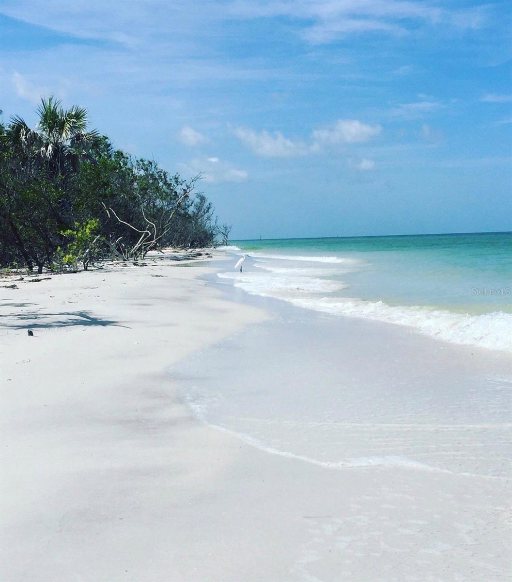 Walk to Caladesi Island