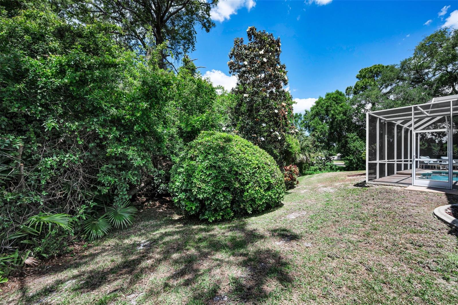 Backyard/Rear Exterior