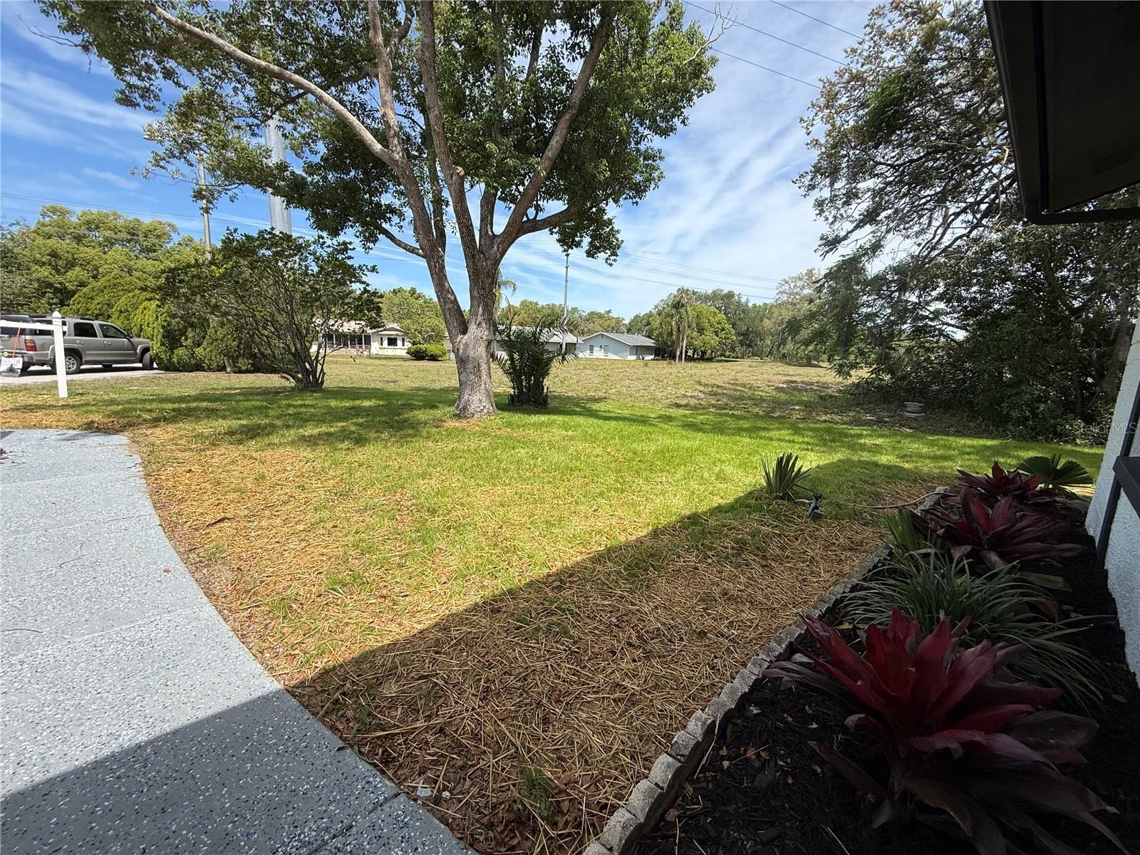 View from Front porch