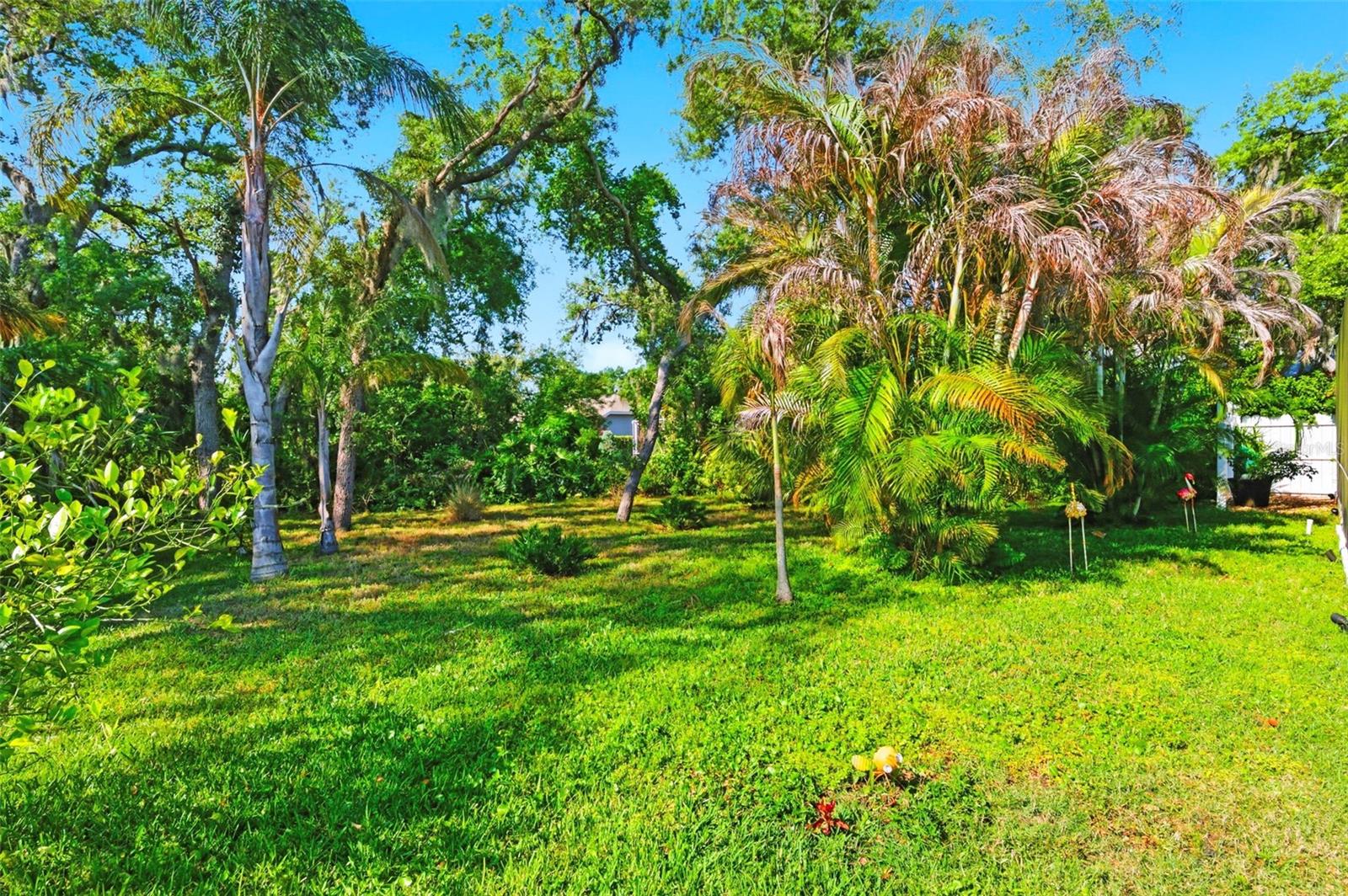 Expansive screened-in lanai offers an ideal outdoor living space with extended seating areas perfect for relaxing or entertaining. Enjoy the privacy and peaceful setting of a backyard that backs to a conservation area, providing serene views and no rear neighbors. This thoughtfully designed space allows you to fully embrace Florida living year-round.