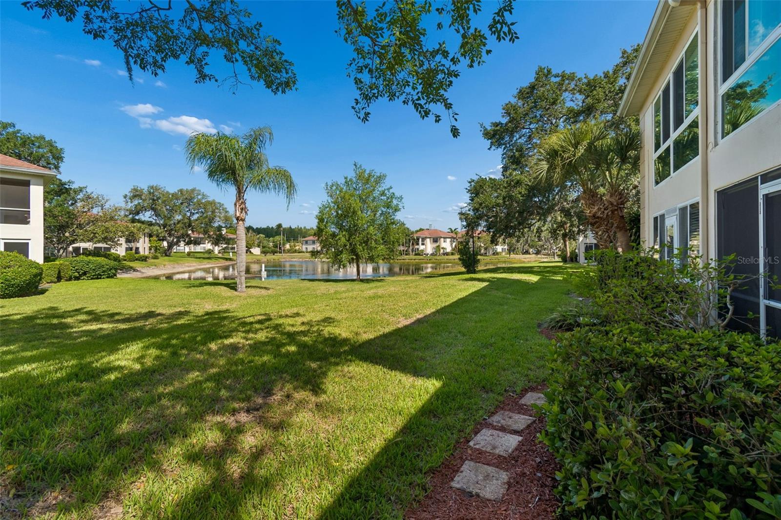 Back yard with a pond